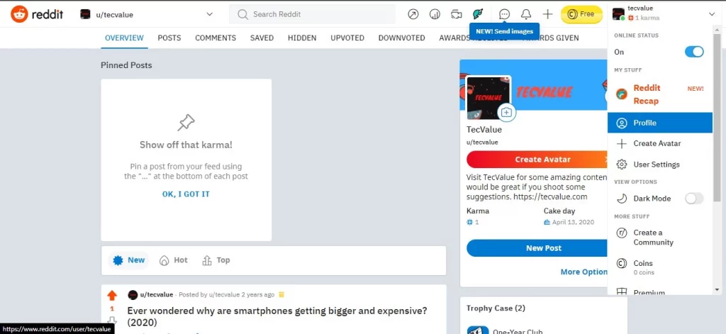 Reddit Profile Button on Desktop