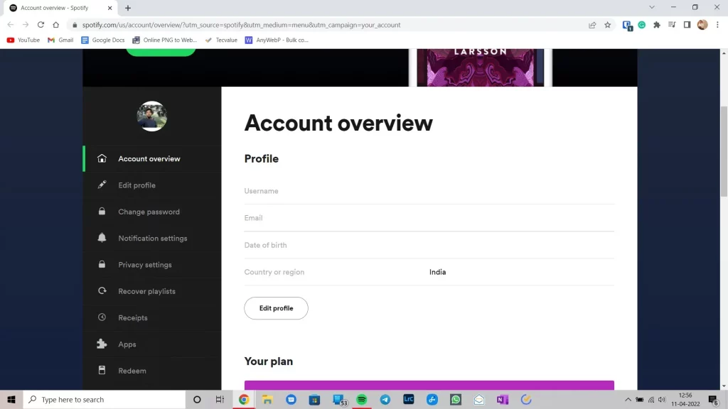 spotify account details