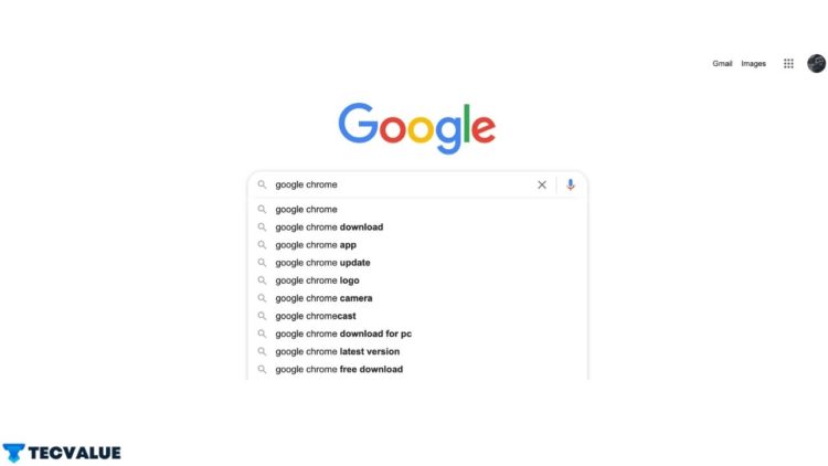 Google Chrome Suggestions